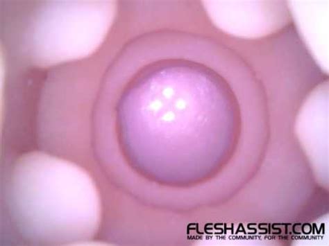 flesh assist|Fleshlight Nicole Aniston Fit Inside Texture Video .